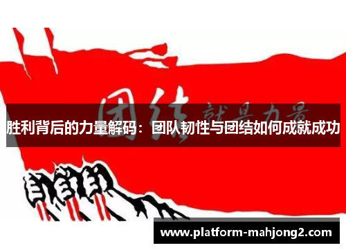 胜利背后的力量解码:团队韧性与团结如何成就成功 胜利背后的力量解码:团队韧性与团结如何成就成功