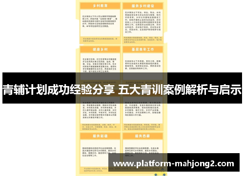 青辅计划成功经验分享 五大青训案例解析与启示